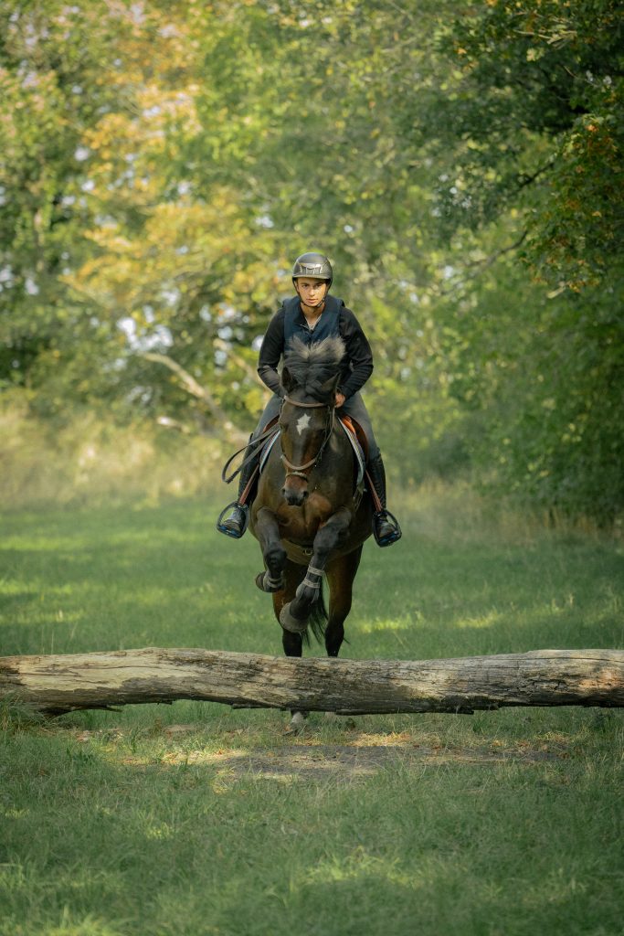 equestrian safety